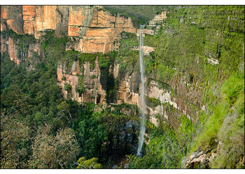 Bridal-Veil