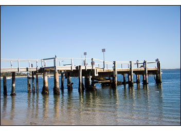 Bridge2