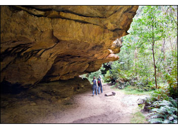 Cave2