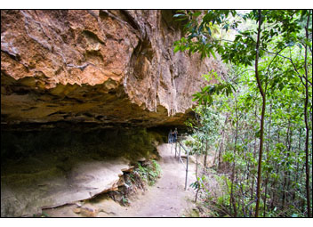 Cliff-Walk3