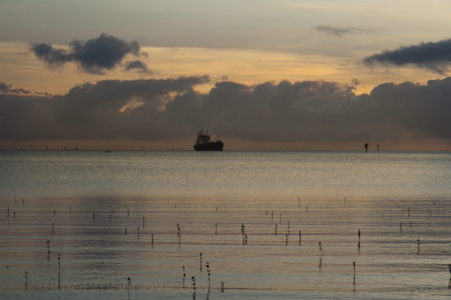 It must be low tide for the ship to face this direction. I wander for a while thinking about the seamen on board.