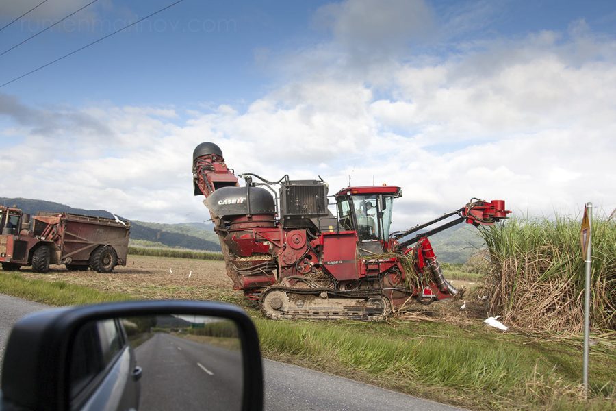 I am very happy to see a real sugar cane collecting machinery. I wave my hand and the occupant of the machine waves back.