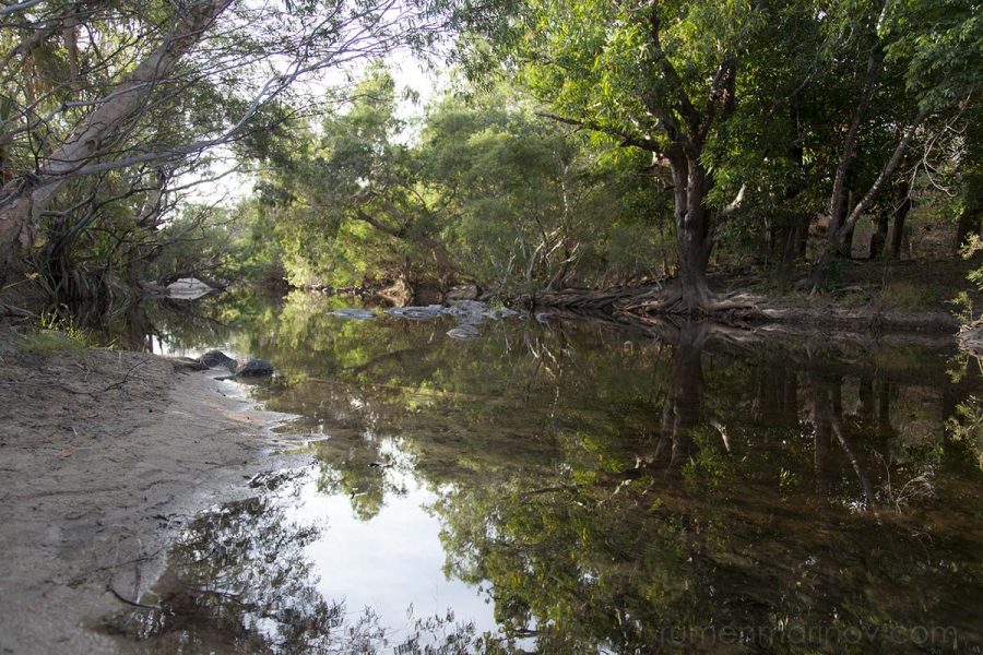Coen River.