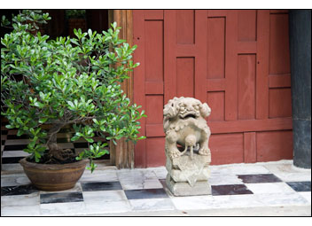 JimThompson'sHouseDog