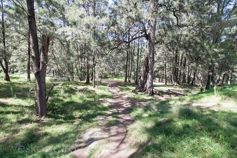 The walk to Cox's River.