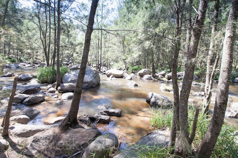 Some small rock pool where Vesko enjoys a quick dip.