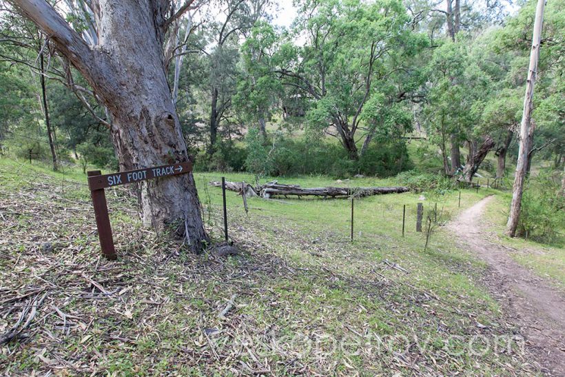 I decide for a few km short walk to Bowtells Swing Bridge