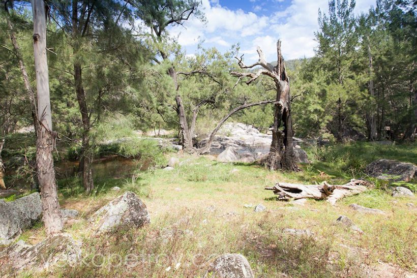 Along the Six Foot Track.