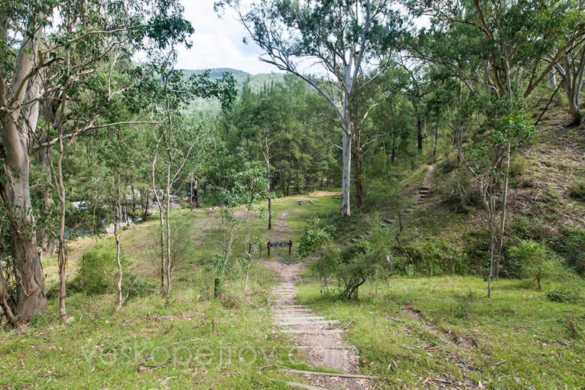 Along the Six Foot Track.