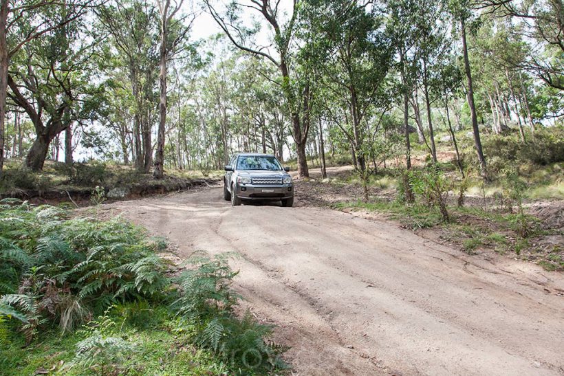 I vividly remember the steep sections before Black Range Camping Ground.