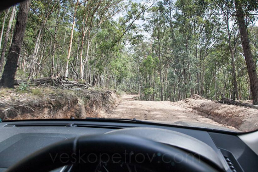 Today I experience strange satisfaction climbing the same 700 m much quicker and with much less effort.