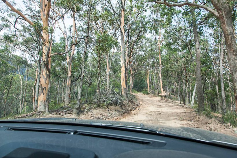 I realize I don't have much time as today I'm planing to inspect a few properties for sale in Blackheath and Leura so after The Black Range Camping Ground I drive straight to Jenolan Caves Road.