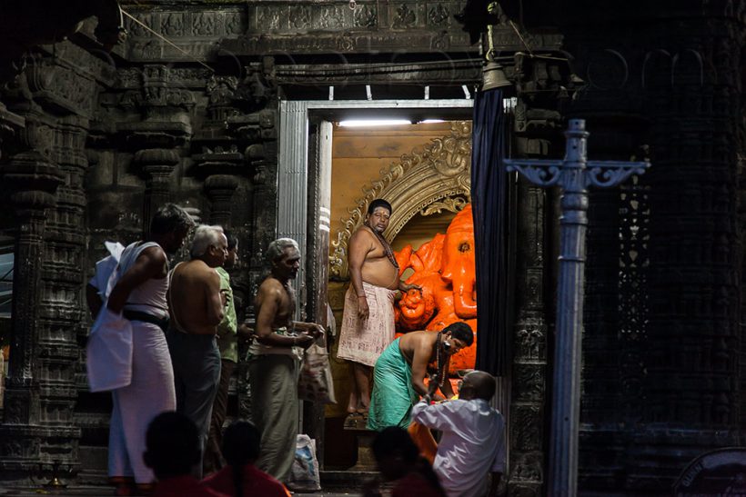 I see a fat Brahmin as well.