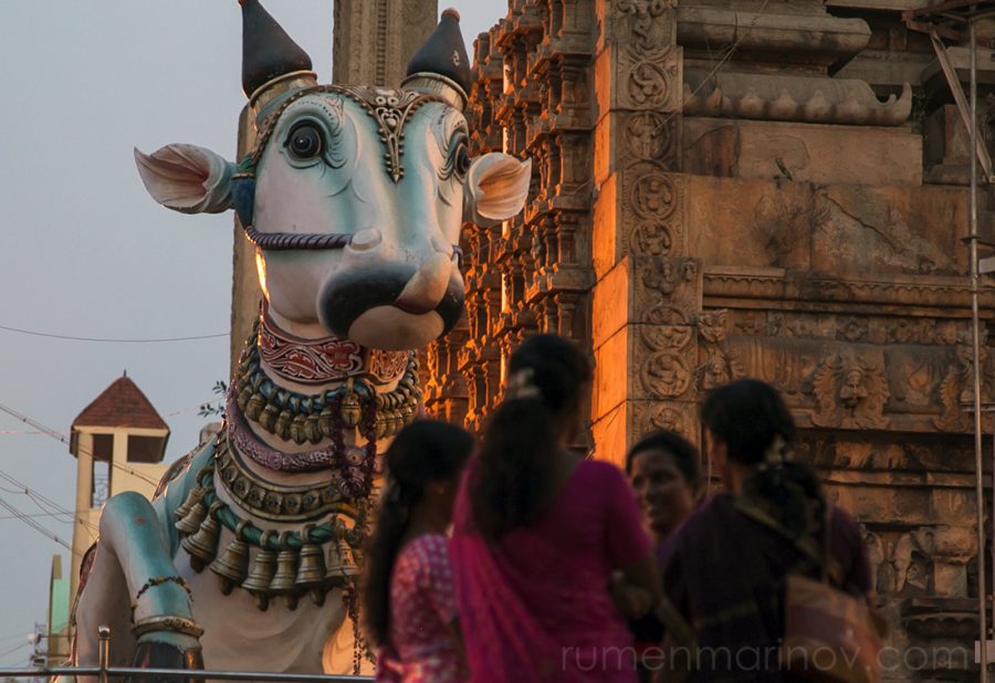 Some mythical creatures around Sri Meenakshi Temple.