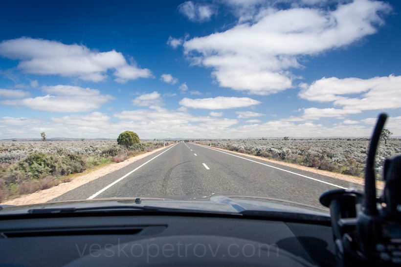 I think the little bushes with strange grayish color are called salt bush. It can grow in salty soil (problem for Australia) and is eatable by a  particular kind of sheep, so it is still useful. Actually, I might be wrong.