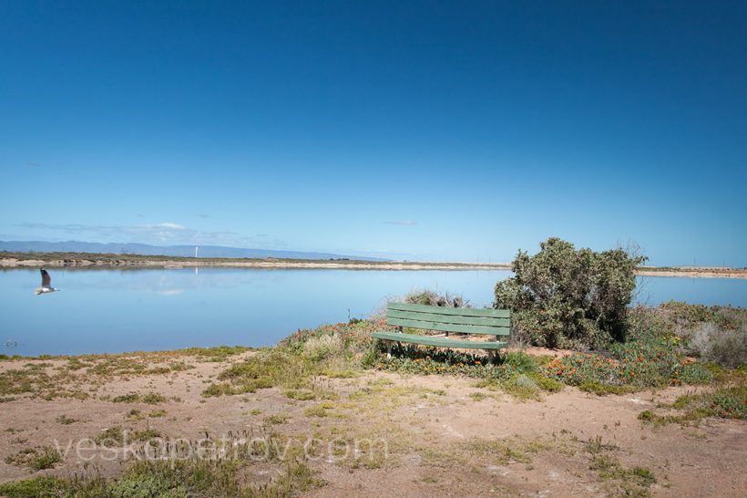 Lunch brake at Port Augusta.