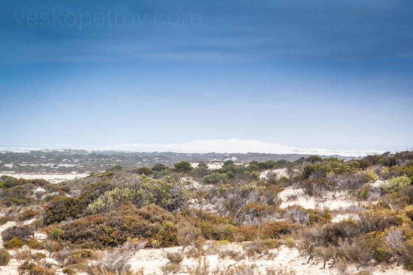 Over there - Bilbunya Dunes!