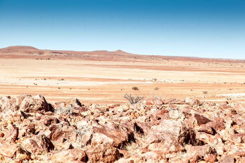 The Outback.