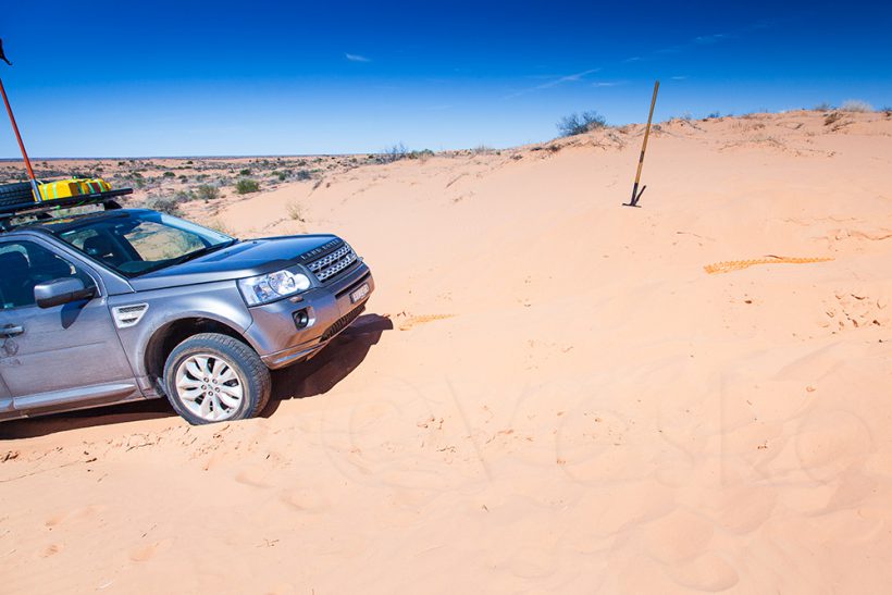 Yes, I travel solo but I am not without a friend. You can see my best friend in the desert standing on the sand :-)