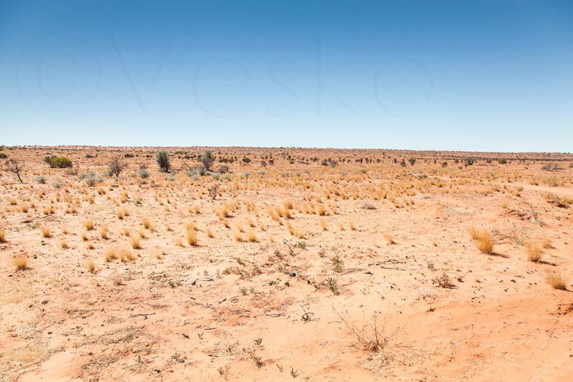 Simpson desert.