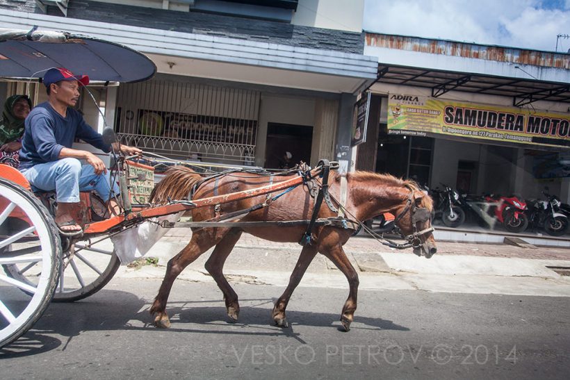 A horse cart we see on the way. Look at the horse cart driver and the old woman, who is enjoying herself.