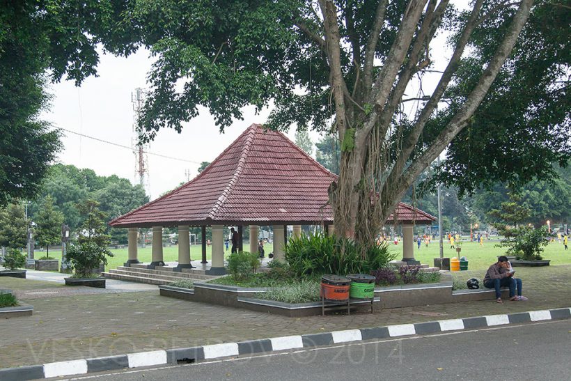 Alun alun at Wonosobo - the local park for sporting activities.