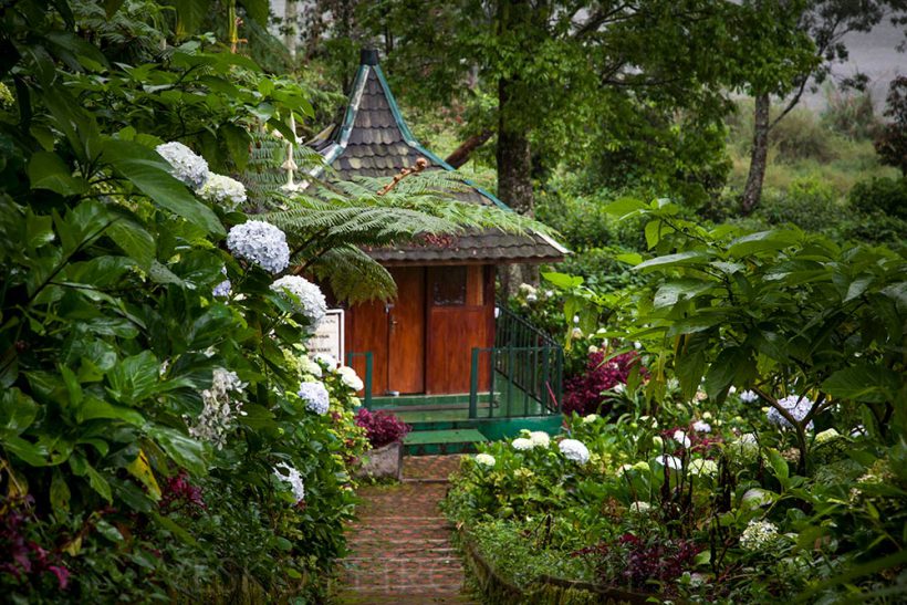 A cottage in the jungle.