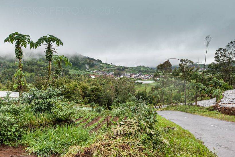 This road will take me back to Telaga Warna.