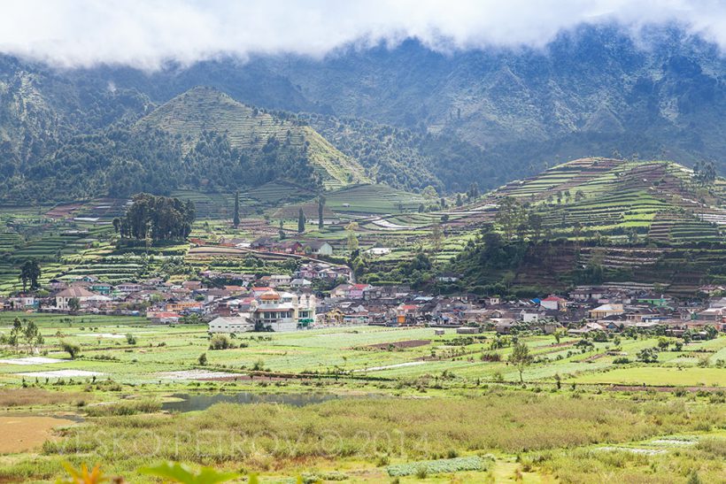 Wonosobo Village.