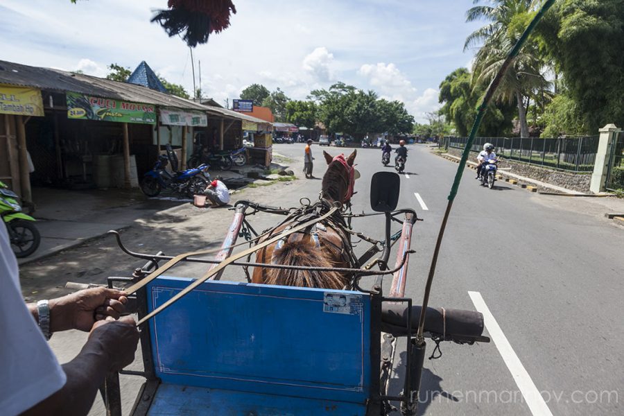 A horse cart is taking me to the bus terminal.