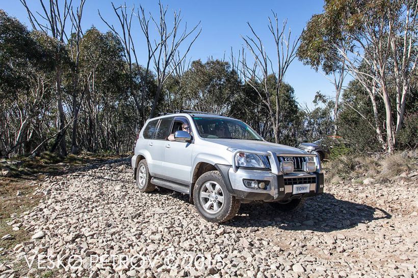 The mighty Prado.