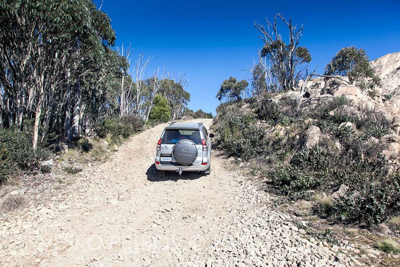 Tony's boys, Nick and Ben climbing Mt Coree in Tony's mighty Prado.