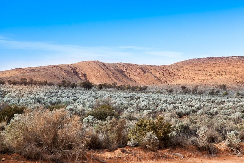 Along the Yunta to Arkaroola Road.