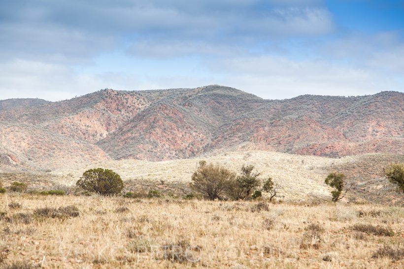 The unmistakable Finders Ranges.