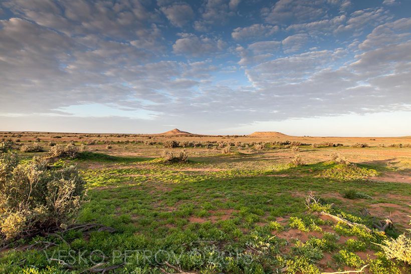The view south again in the morning.