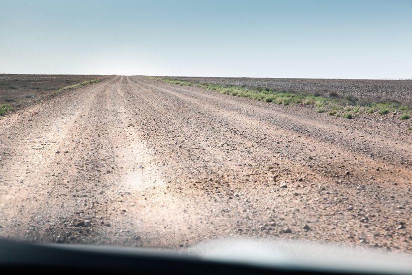 Sturt Stony Desert and the stony road through it. Lucky, didn't get a puncture.