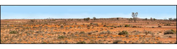 OutbackPanorama1
