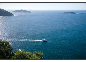Whale-Watching